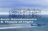 Lesson 4 Developing the Concepts - Lift (Theory of Flight)