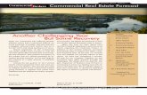 Branson Commercial Real Estate 2013