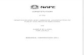 NAPE Constitution 2011 (Final)