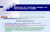 Karady Voltage Sag Pserc Tele-seminar Feb2006