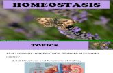Chapter 19 - Homeostasis (Part 3)
