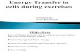 Energy Transfer in Cell During Exercise and Oxygen Metabolism and Transport - Palak