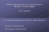 mechanism of ischemic brain damage