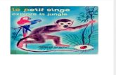 Père Castor Le petit singe explore la jungle 1973 RS
