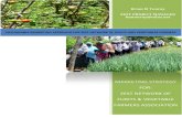 Zest Prrogam - Sustainable Marketing Approach for Zest Network of Fruits and Vegetables Farmers of Zanzibar - Brian m Touray - Cordaid-Vso-uasid Cuso-zanzibar-uwamwiama