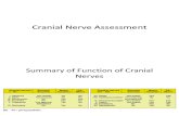 Cranial Nerve Assessment 2-3_3