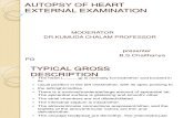 Autopsy of Heart External Examination