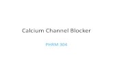 Ca Channel Blocker