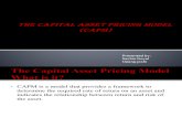 The Capital Asset Pricing Model (CAPM) (1)