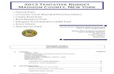 2013 Tentative Budget -11!7!12