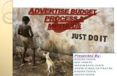 Advertise Budget