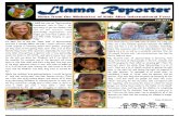 Llama Reporter Fall 2012