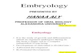 Embrology PowerPoint by Prof Hanaa Aly Presentation