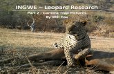 More Camera Trap photographs from the INGWE Team
