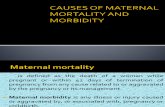 Causes of Maternal Mortality and Morbidity