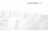 Prozone Annual Report 2012_pcscl