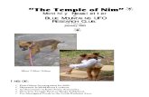The Temple of Nim Newsletter - January 2009
