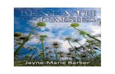 Beneath the Daisies by Jayne-Maire Barker