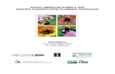 North American Bumblebee Species Conservation Planning Workshop