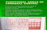 Lec 1 Functional Areas of Cerebral Cortex
