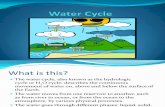 Water Cycle(Present)