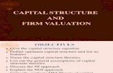 capital structure and firm evalution