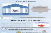 Lean Six Sigma - An Introduction