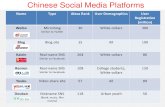 Chinese Social Media Portfolio_2012_08_30