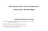 Abdominal Vasculature Venous Drainage E-learning