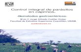 Control integral de parásitos en caprinos