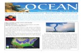 Outer Cape Environmental Awareness Newsletter Issue 20
