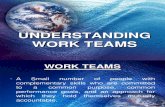 18. Understanding Work Teams