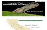 Grafton Cardwell Integrated Pest Management of California Citrus 2011 2