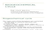 Biogeochemical Cycle 2011