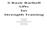 5 Basic Barbell Lifts