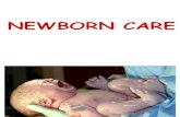 60778050 Newborn Care
