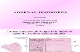 Adrenal Disorders-kuliah Update