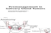 Premanagement in Salivary Gland Tumors