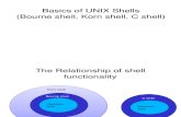Unix Shell Basics