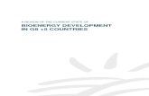 A Review of the Current State of Bioenergy Development in G8 Plus 5 Countries