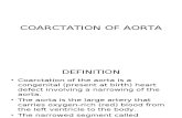 Coarctation of Aorta (Paed)