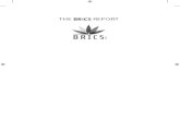 Brics Report