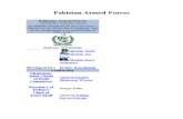 Pakistan Armed Forces 2