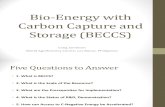 Criag Jamieson - Bio-Energy With Carbon Capture and Storage