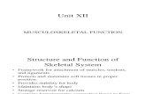 Unit XII Musculoskeletal FunctionBBF07
