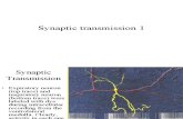1 Synaptic Transmission
