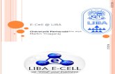 E-Cell @ LIBA