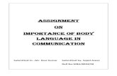 Importance of Body Language in Communication