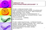 1a Perspectives on Entrepreneurship