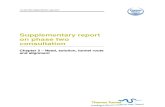 Supp Report on P2 Consultation - Chapter 2 Need Solution Route Alignment